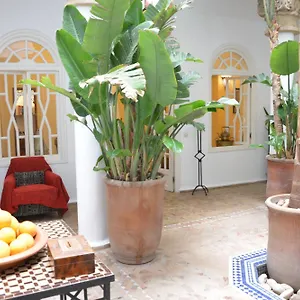 *** Riad Dar Loulema Marokko